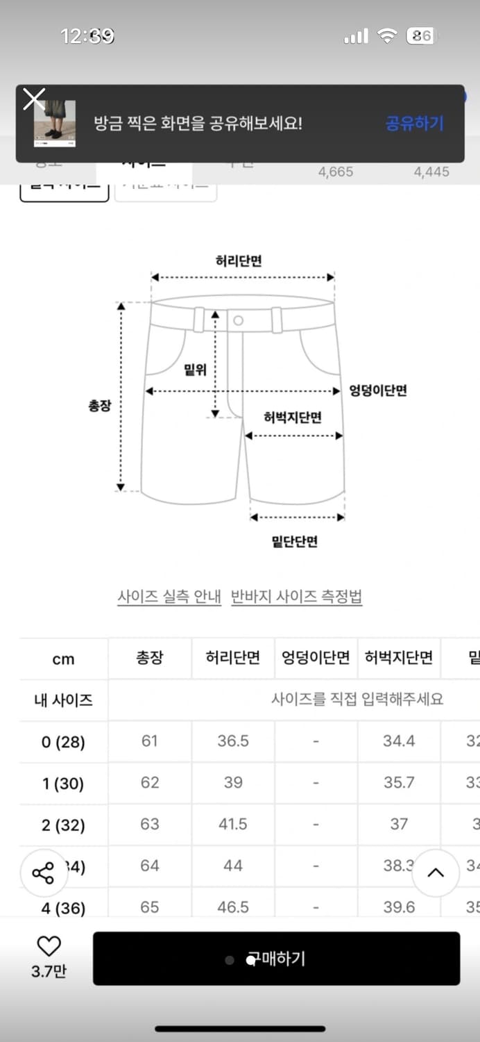 디미트리블랙 버뮤다  상품이미지2
