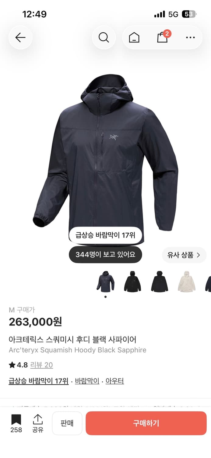 아크테릭스 후디 블랙 스쿼미시 사파이어 상품이미지1