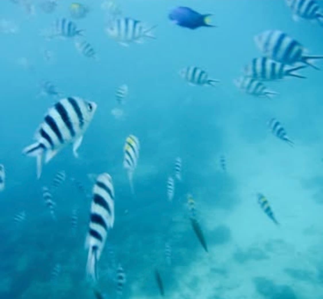 한글지원🩵방수🏊후지필름 파인픽스 XP70  💛 아웃도어디카 ✨ 상품이미지9