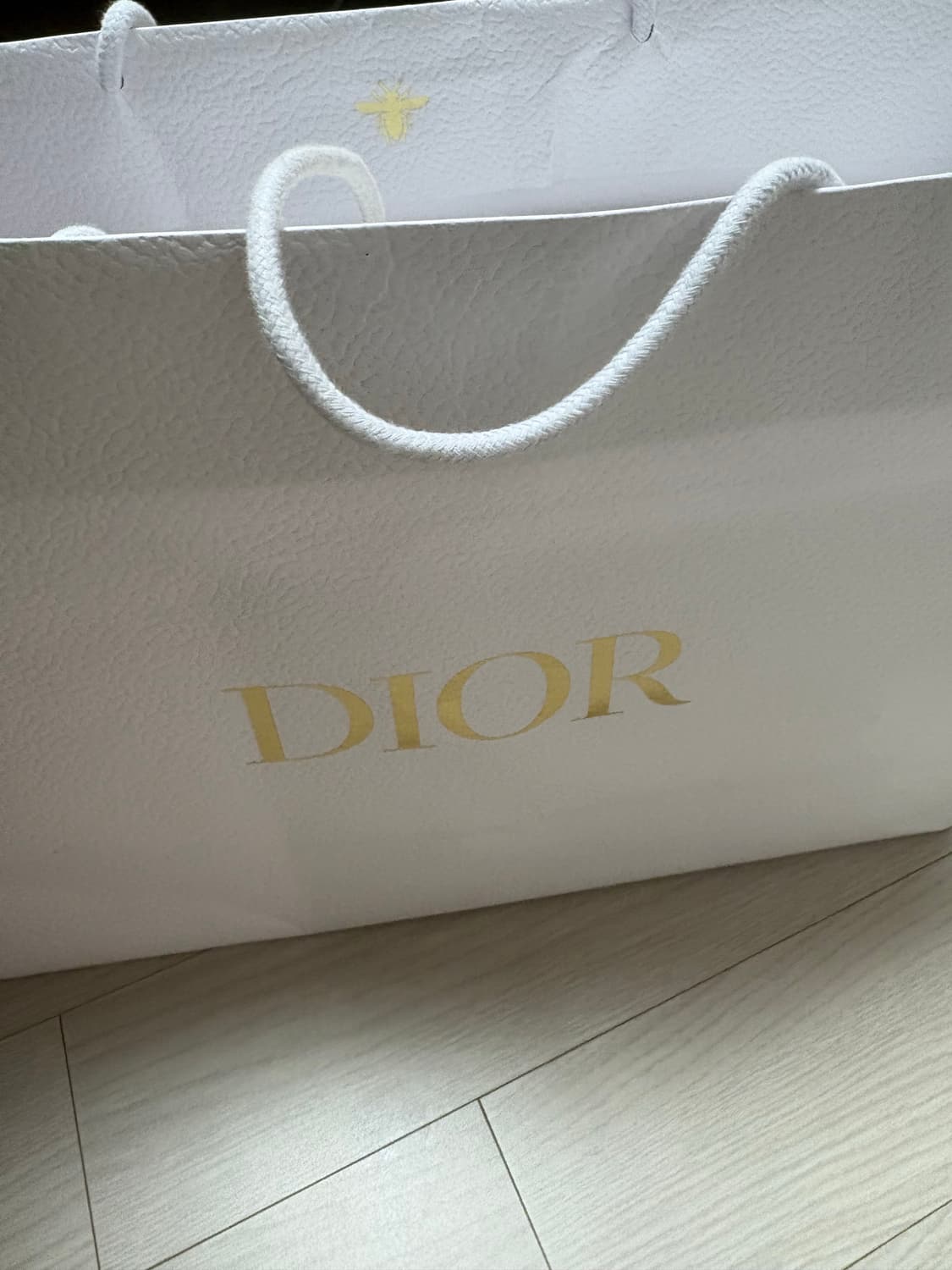 디올 카로백 상품이미지7