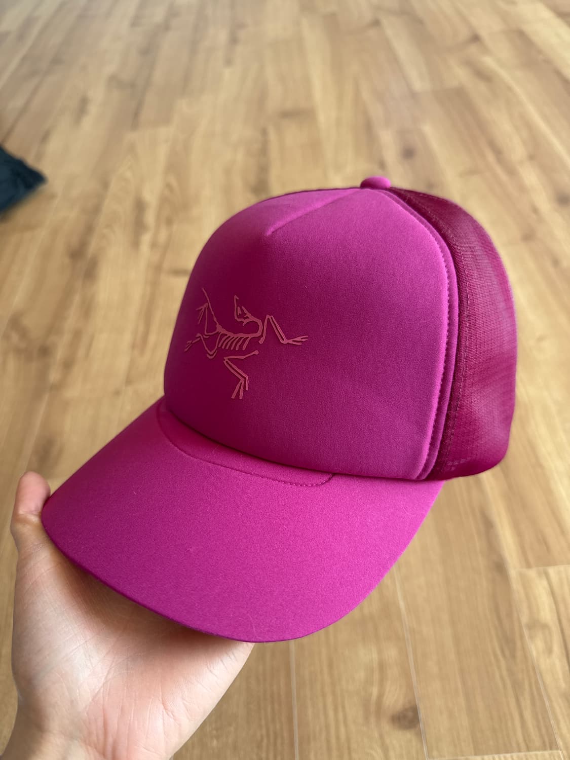 아크테릭스 캡 상품이미지1