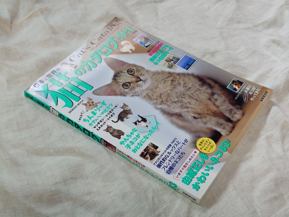 귀여운 일본 고양이 잡지 상품이미지3