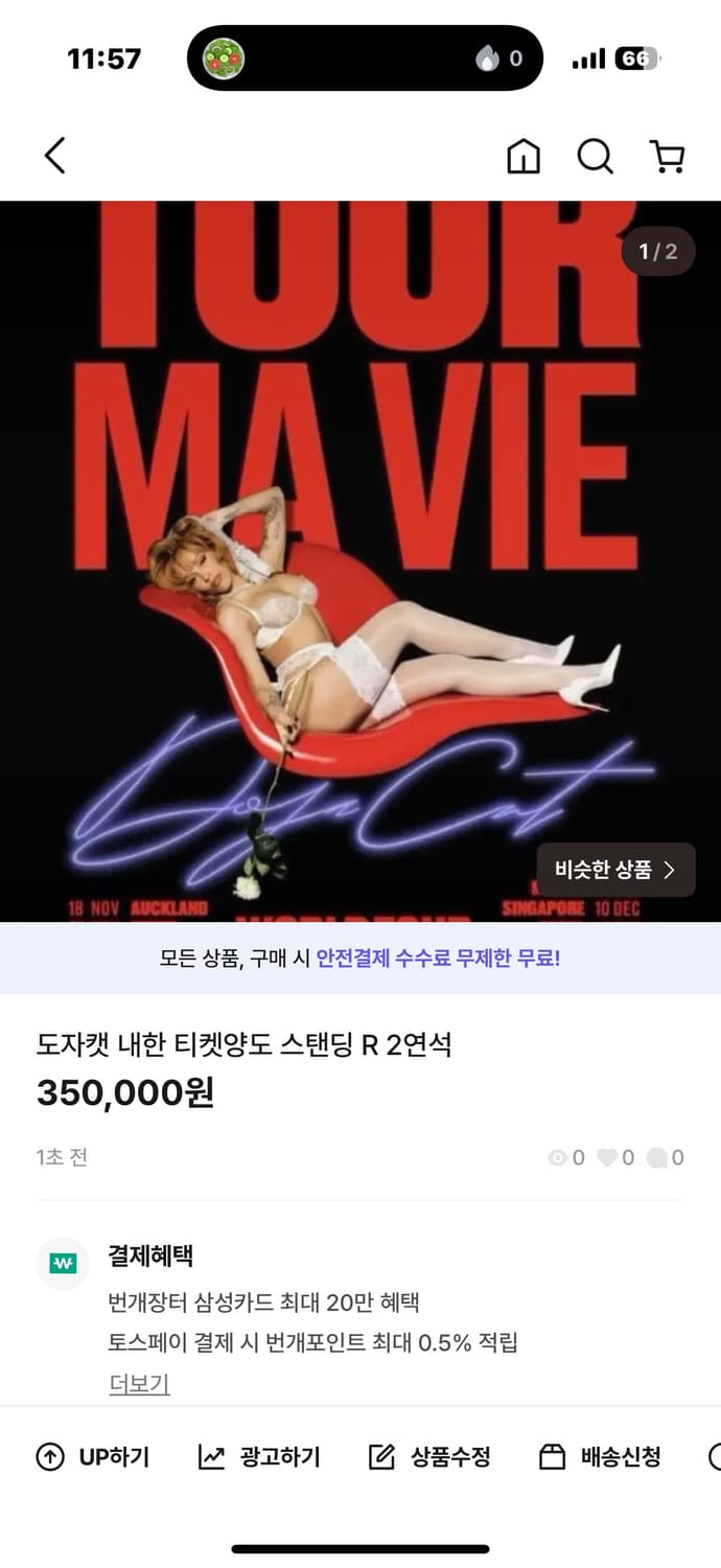 도자캣 내한 콘서트 12/13 스탠딩 R석 2연석 상품이미지1