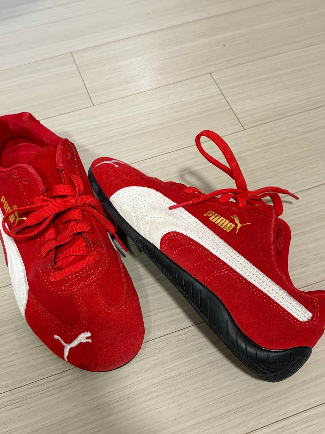 스피드캣 (240) 상품이미지2