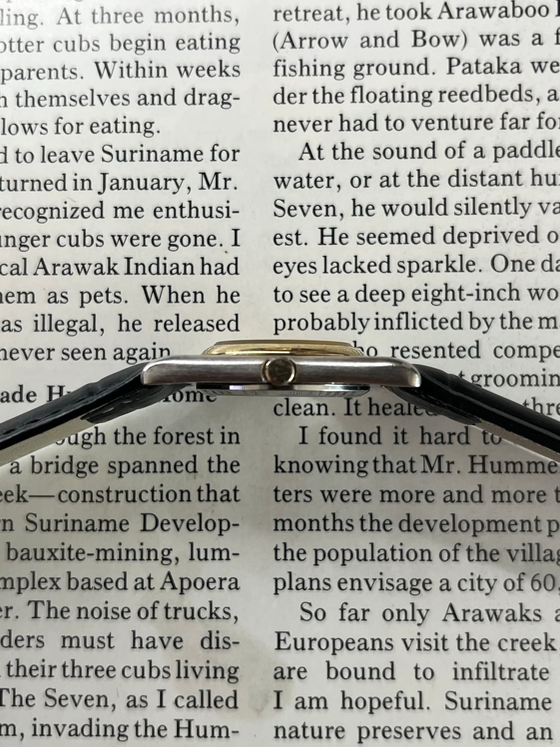 Seiko Junko Shimada Quartz 상품이미지4