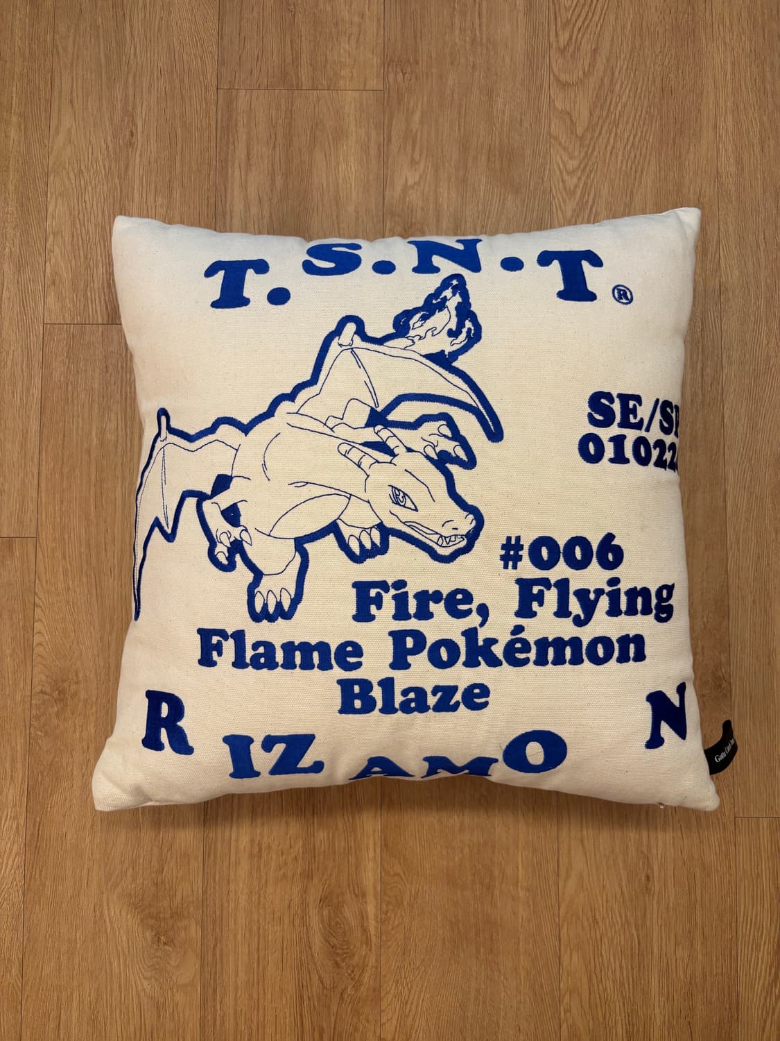디스이즈네버댓 X 포켓몬 리자몽 쿠션 상품이미지1