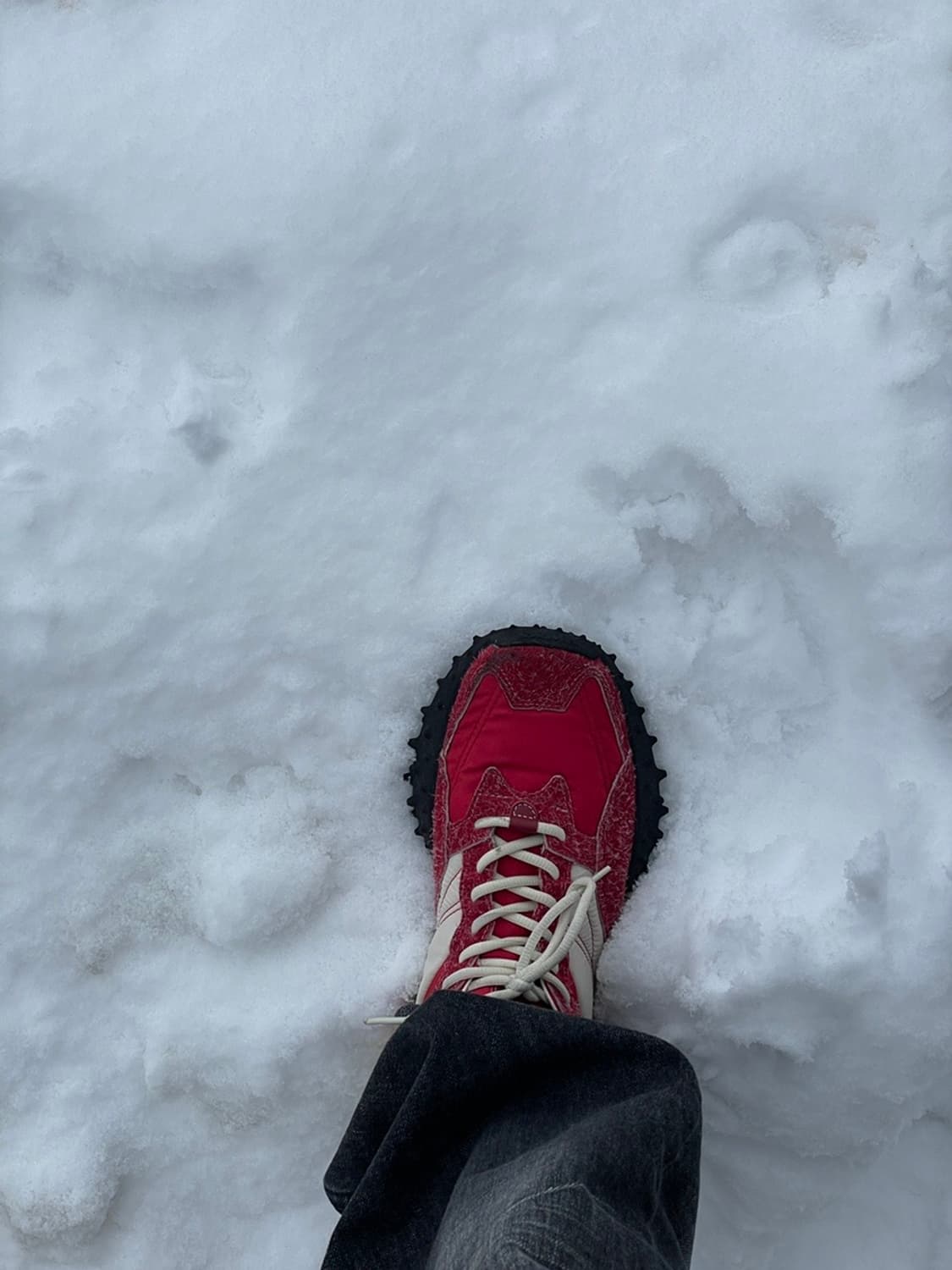 Eytys Fugu 스니커즈 상품이미지5