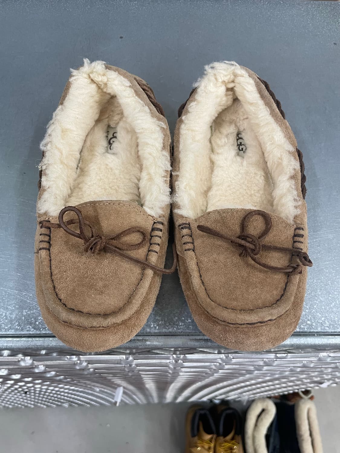 어그 벨라II 체스트넛 25cm 상품이미지5