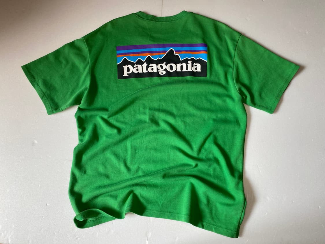 Patagonia 반팔티 F 상품이미지4