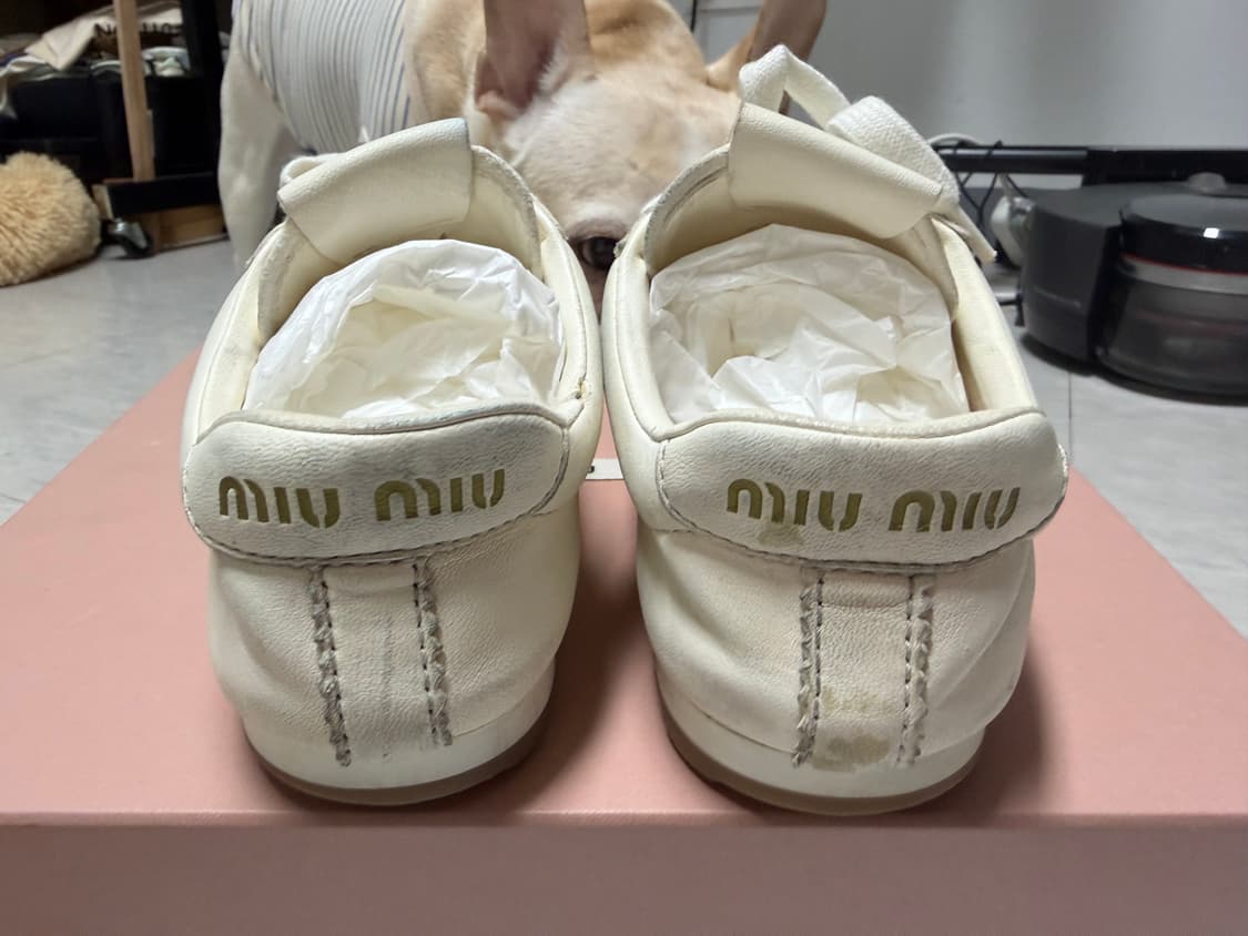 [정품] 미우미우 풀룸 아파 레더 스니커즈 230-235 상품이미지5