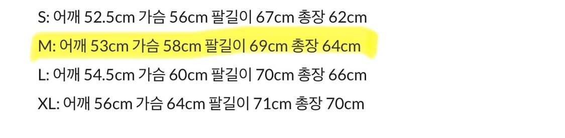 레이서 Translucent Aviator 봄버 베이지 / M size 상품이미지10