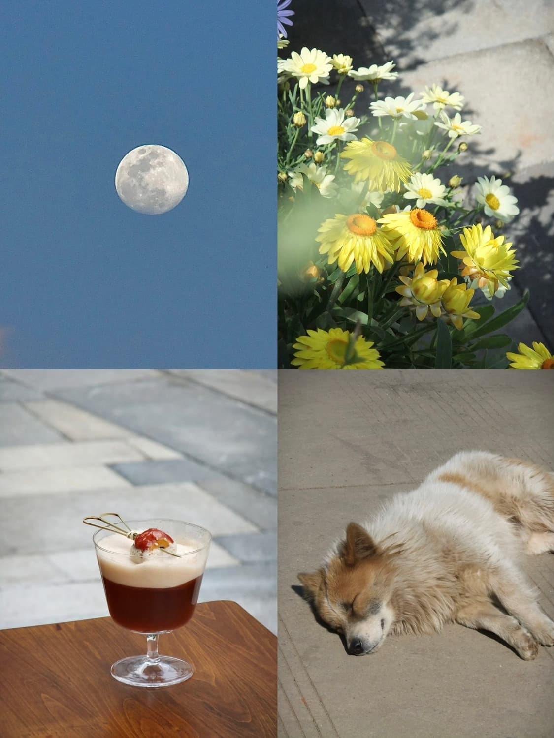 후지필름 파인픽스 F80 EXR | Fujifilm FinePix F70 상품이미지3