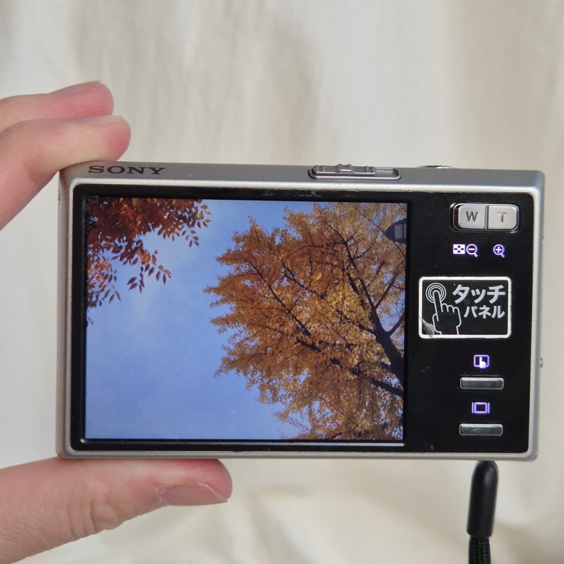 작례📸 Sony Cyber-shot T50 실버 컬러 판매합니다 ✨ 상품이미지2