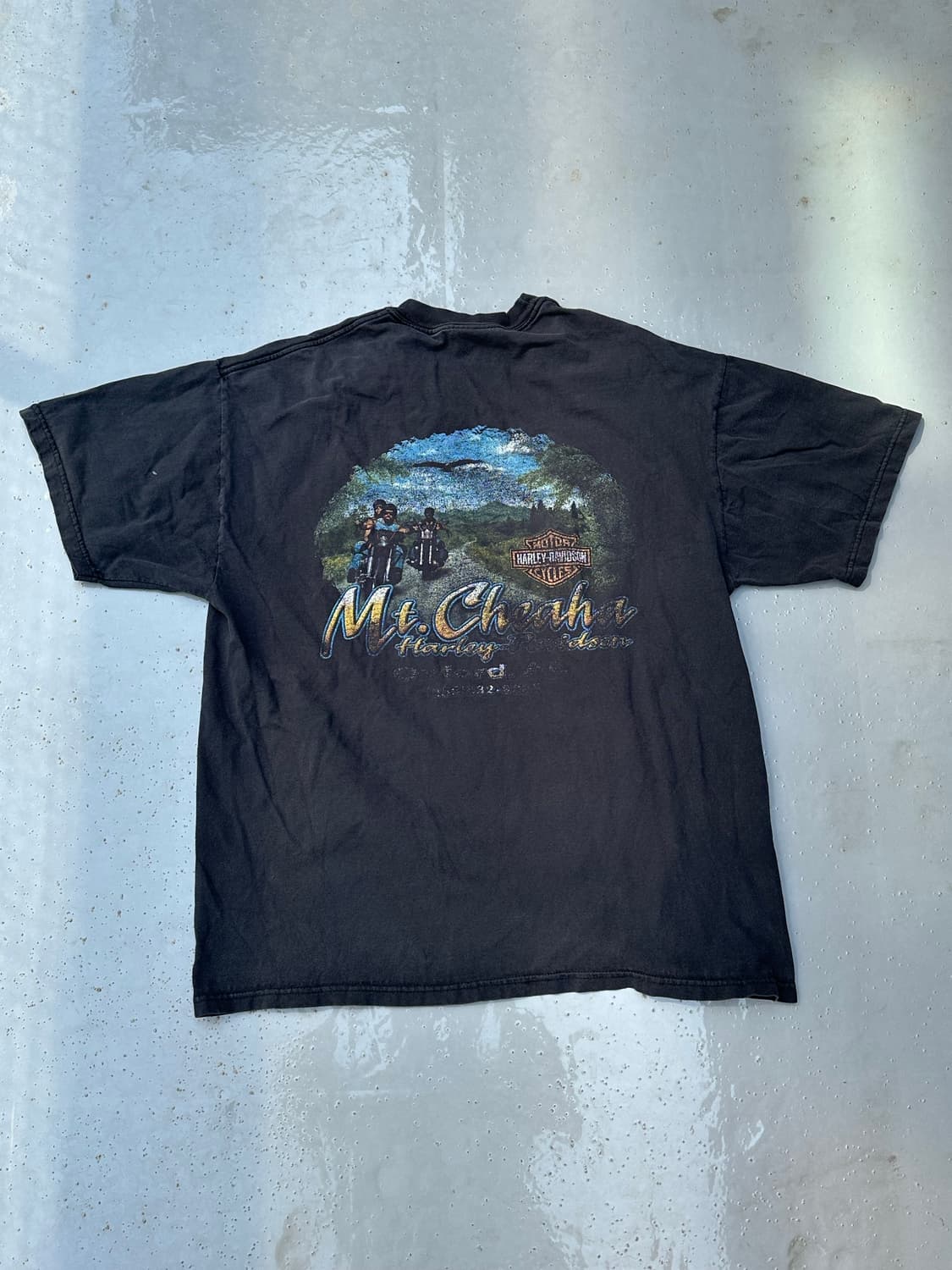 [할리데이비슨] •00s Vintage Mt Cheaha Tee 상품이미지1