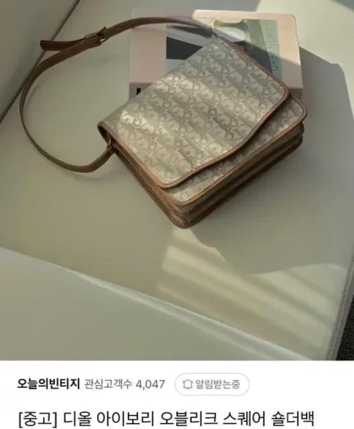 (빈티지) 디올 오블리크 스퀘어백 상품이미지1