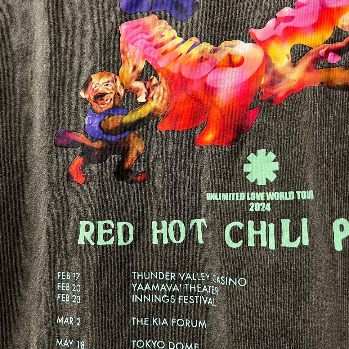 RHCP 레드 핫 칠리 페퍼스 오리지널 머천다이즈 반팔 N1672 상품이미지9