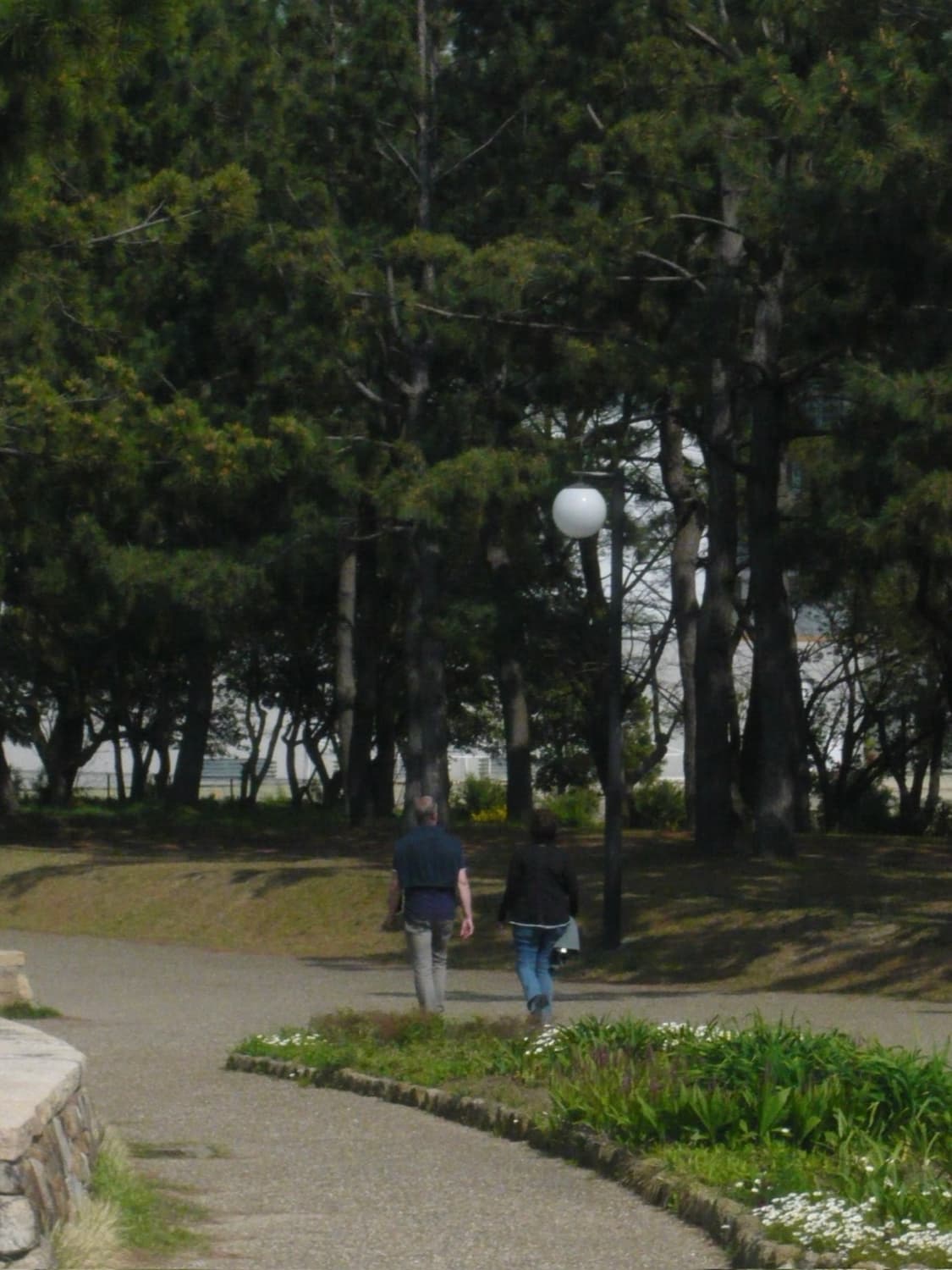 파나소닉 루믹스 DMC-FX80 빈티지디카 디지털카메라 상품이미지2