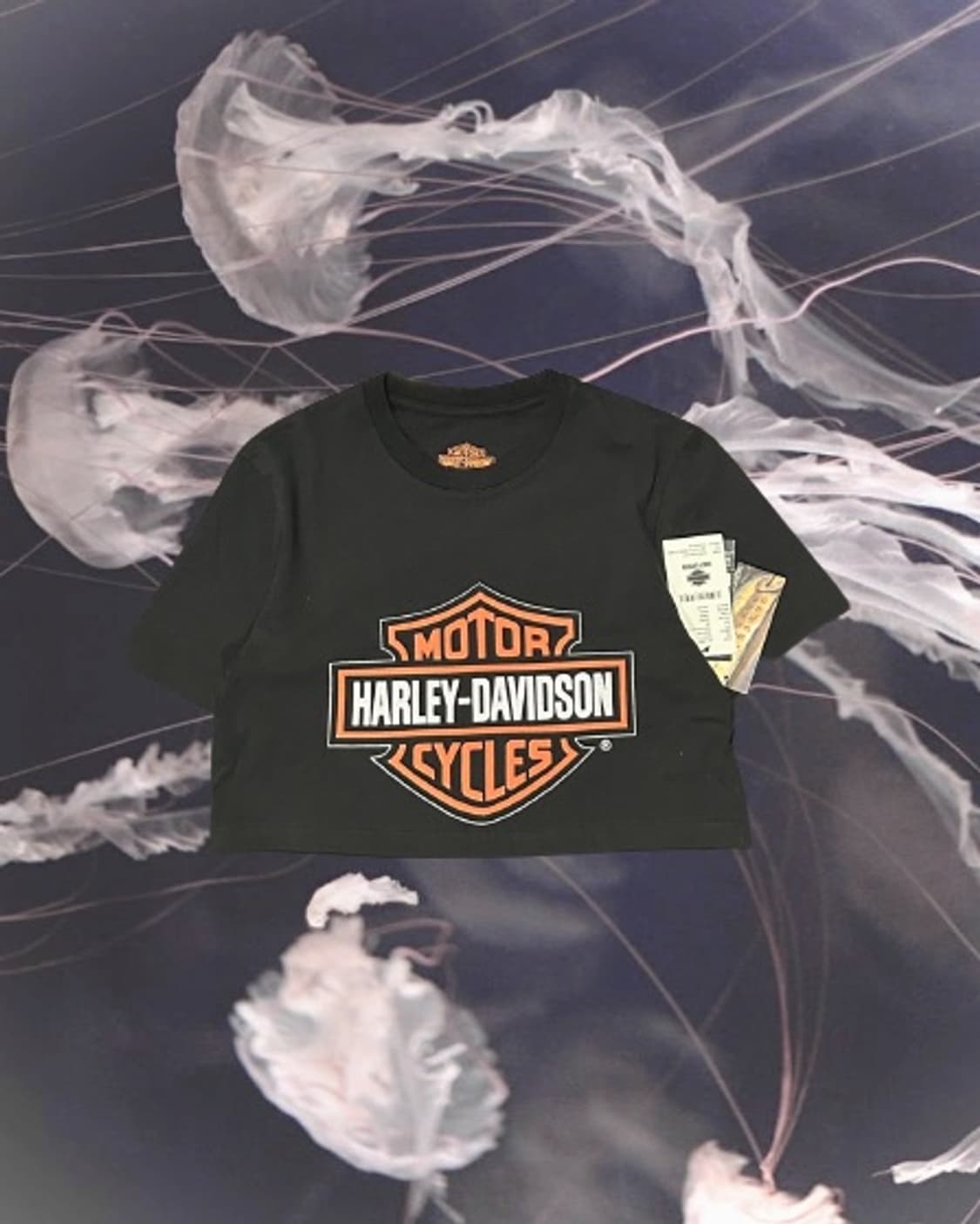 할리데이비슨 리메이크 크롭 반팔티셔츠 상품이미지1