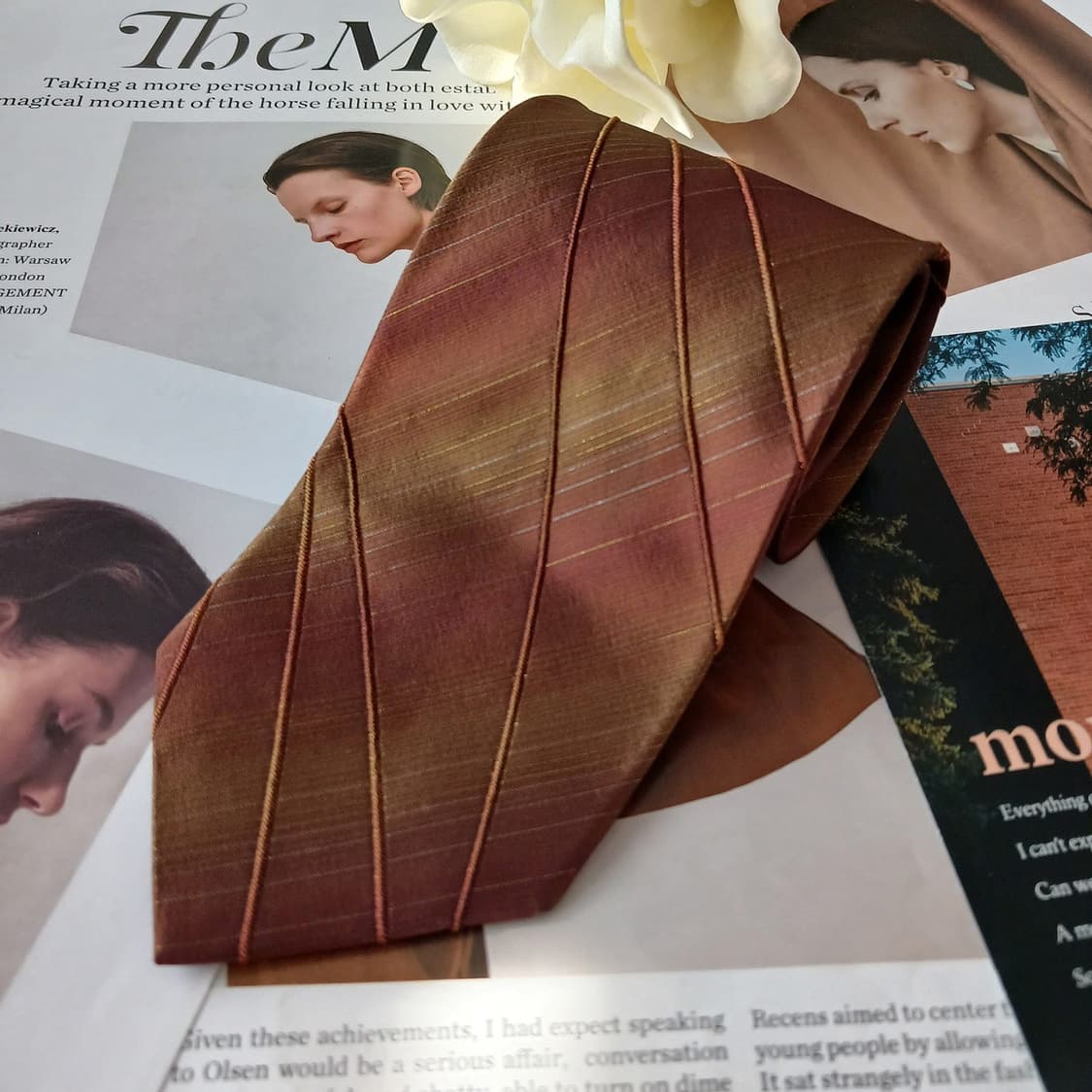 니나리치 실크 브라운 스트라이프 넥타이 9.4cm A등급 A18974
 상품이미지2