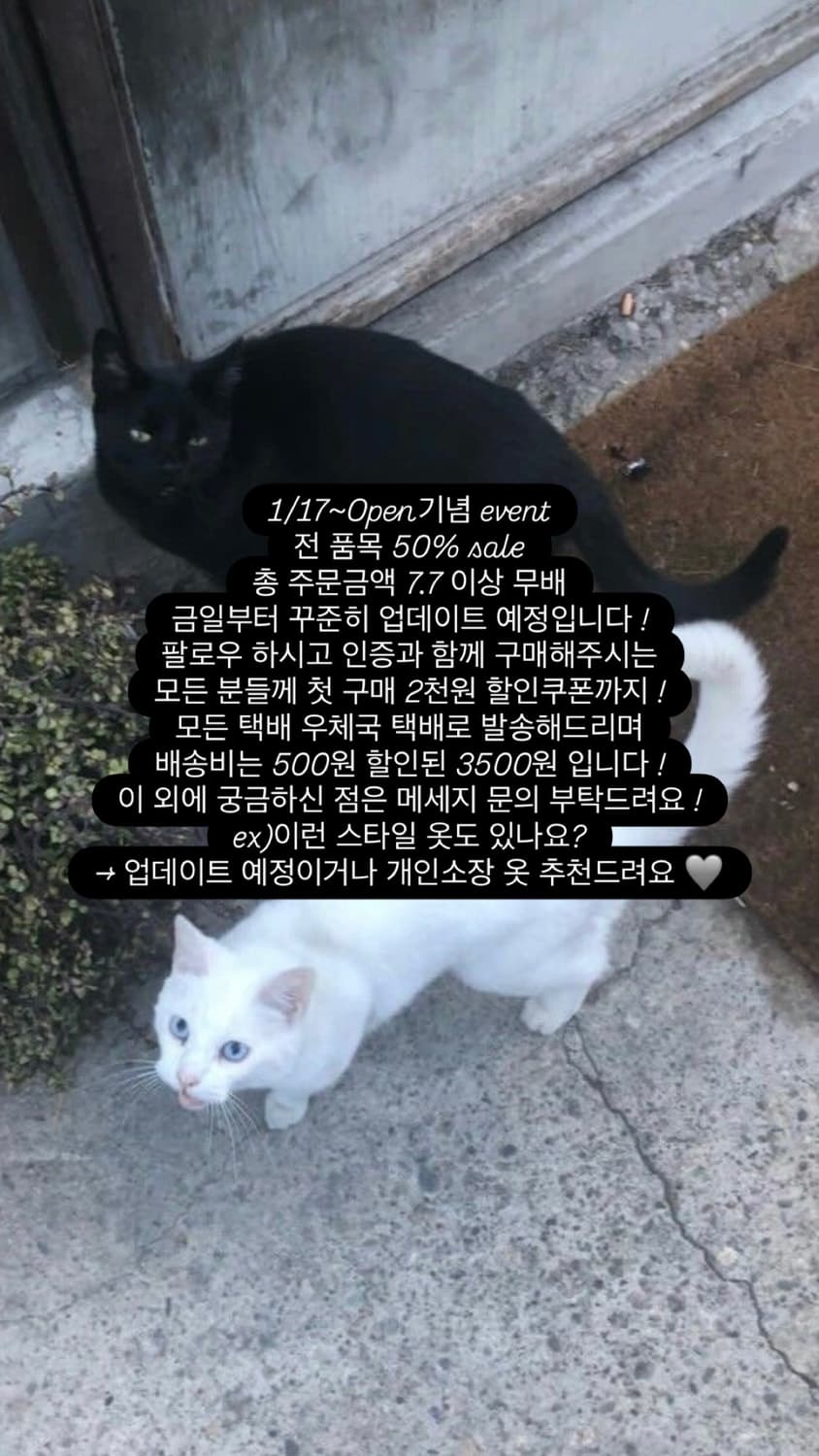 공지사항 상품이미지1