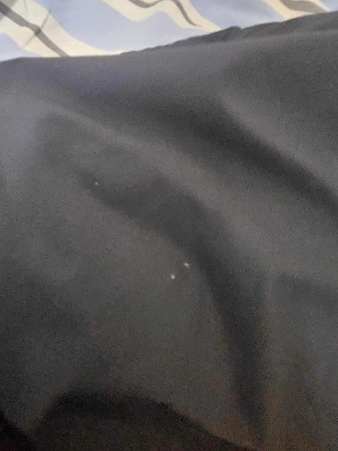 뉴발란스 블랙 구스다운 패딩 판매합니다  상품이미지3