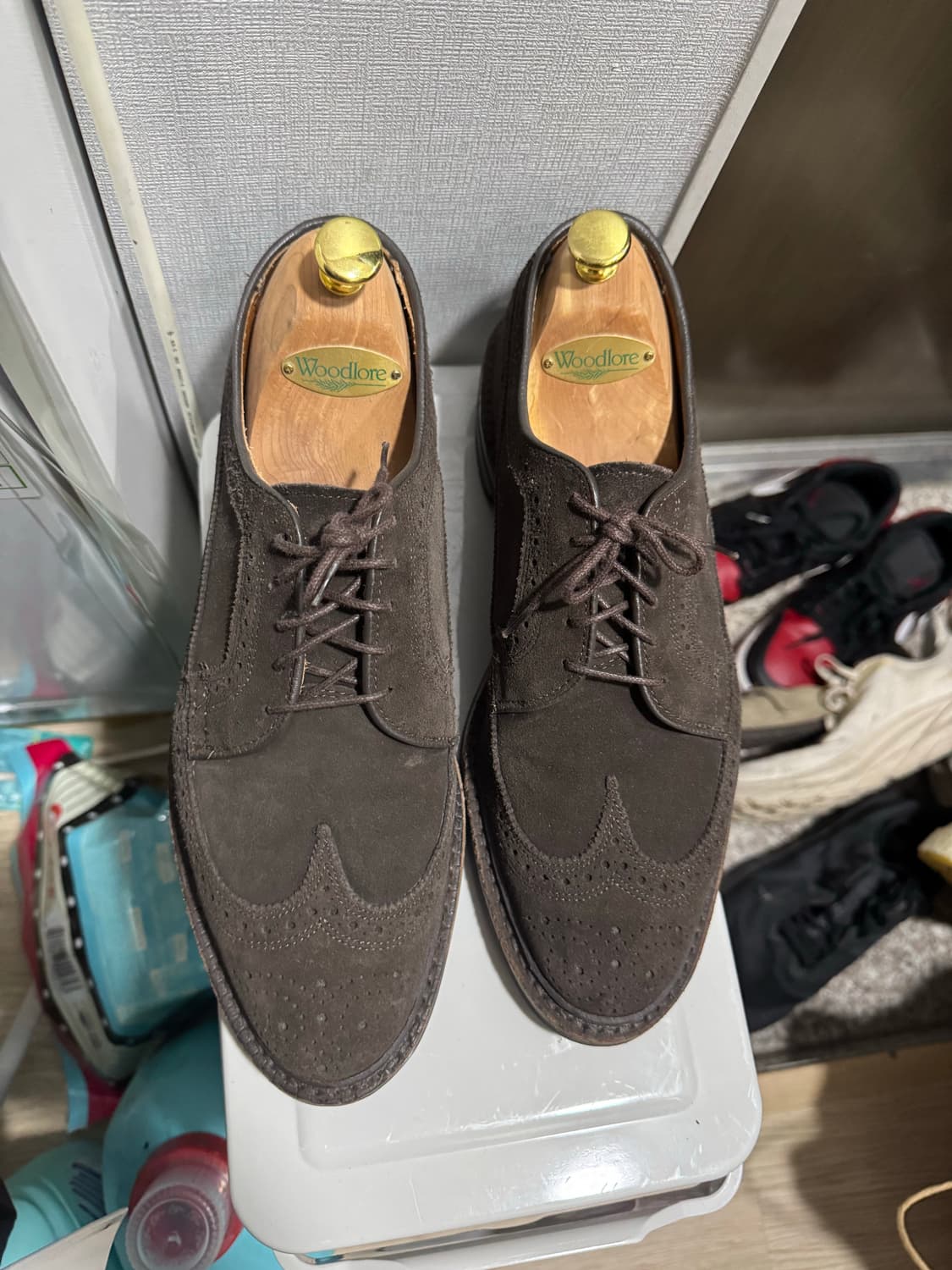 알렌 에드몬즈 스웨이드 윙팁 10D 상품이미지1