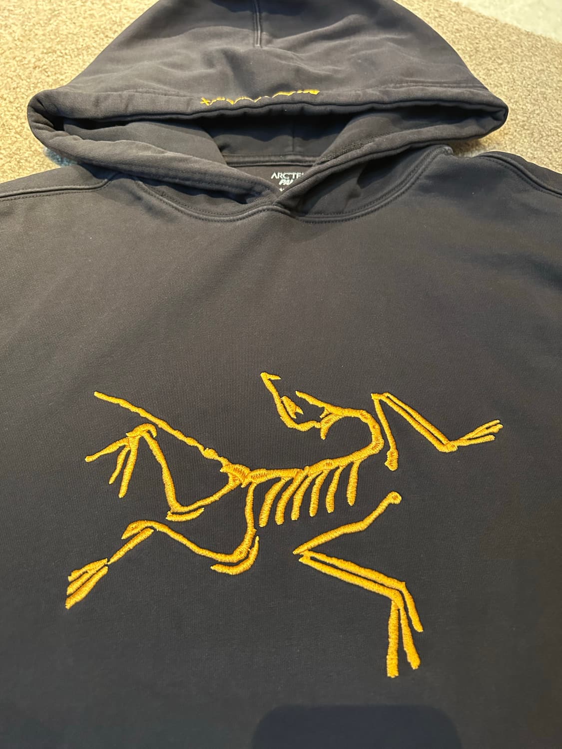 105 팔라스 아크테릭스 후드 블랙 상품이미지3