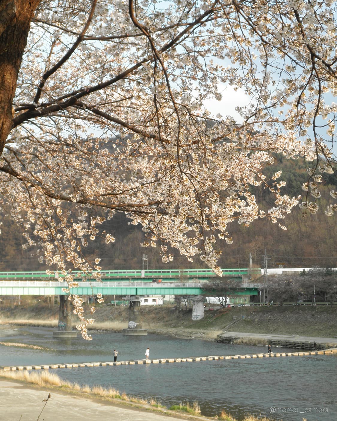 하투하 이안님 사용/인물컷추천♥️Olympus μ-7040 올림푸스 디카 상품이미지10