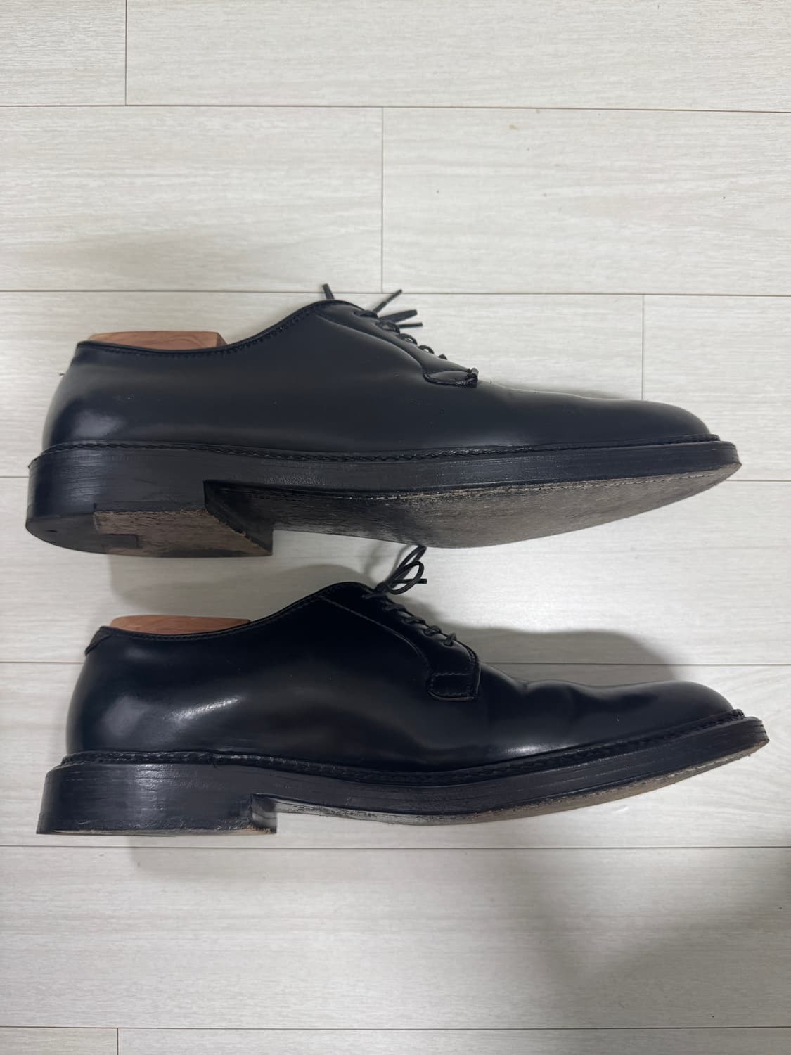 [9D] ALDEN 알든 9901 상품이미지4