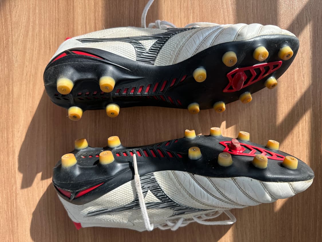 모렐리아 네오 상품이미지3