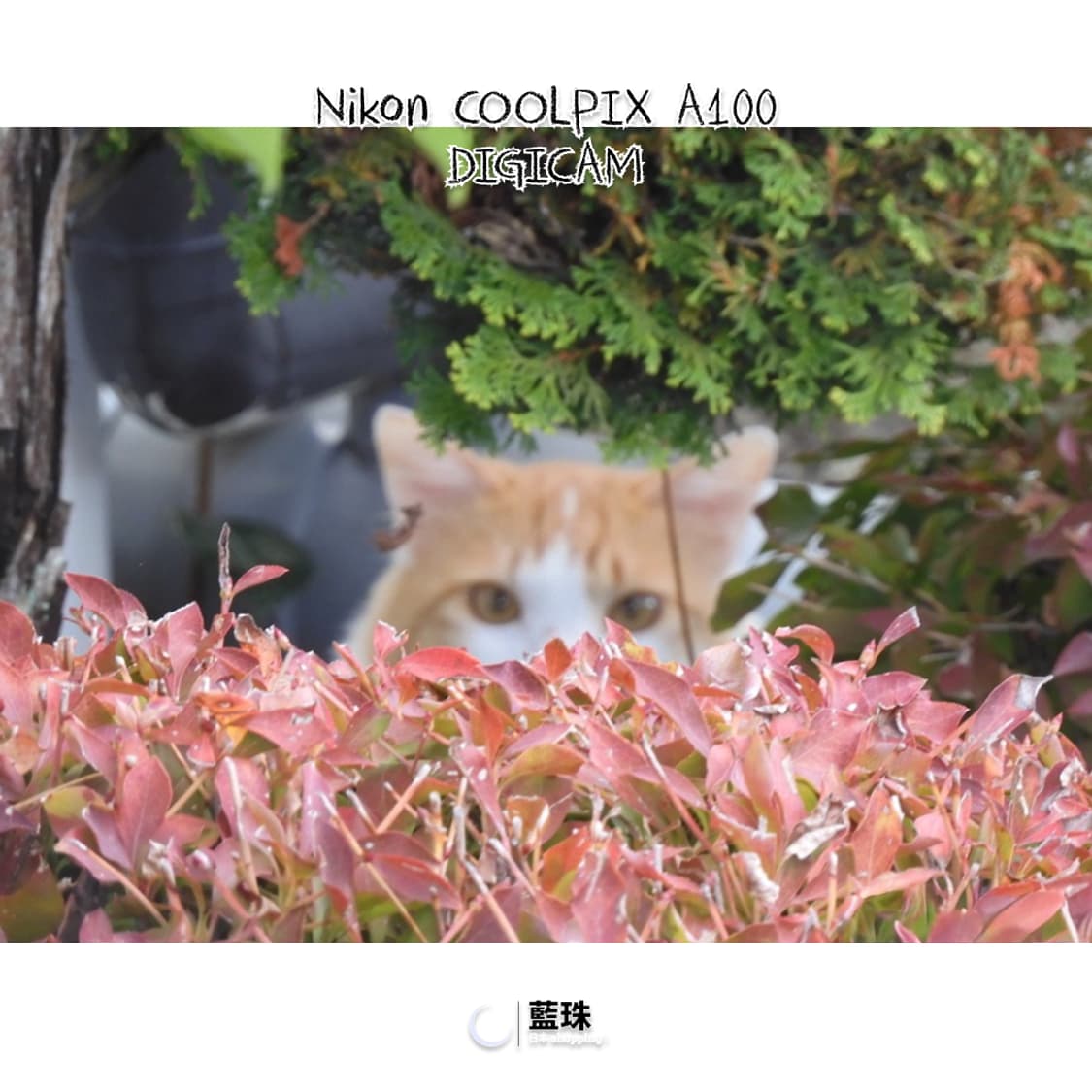 니콘 쿨픽스 A100 빈티지 레트로 디카 디지털카메라 실버 상품이미지7