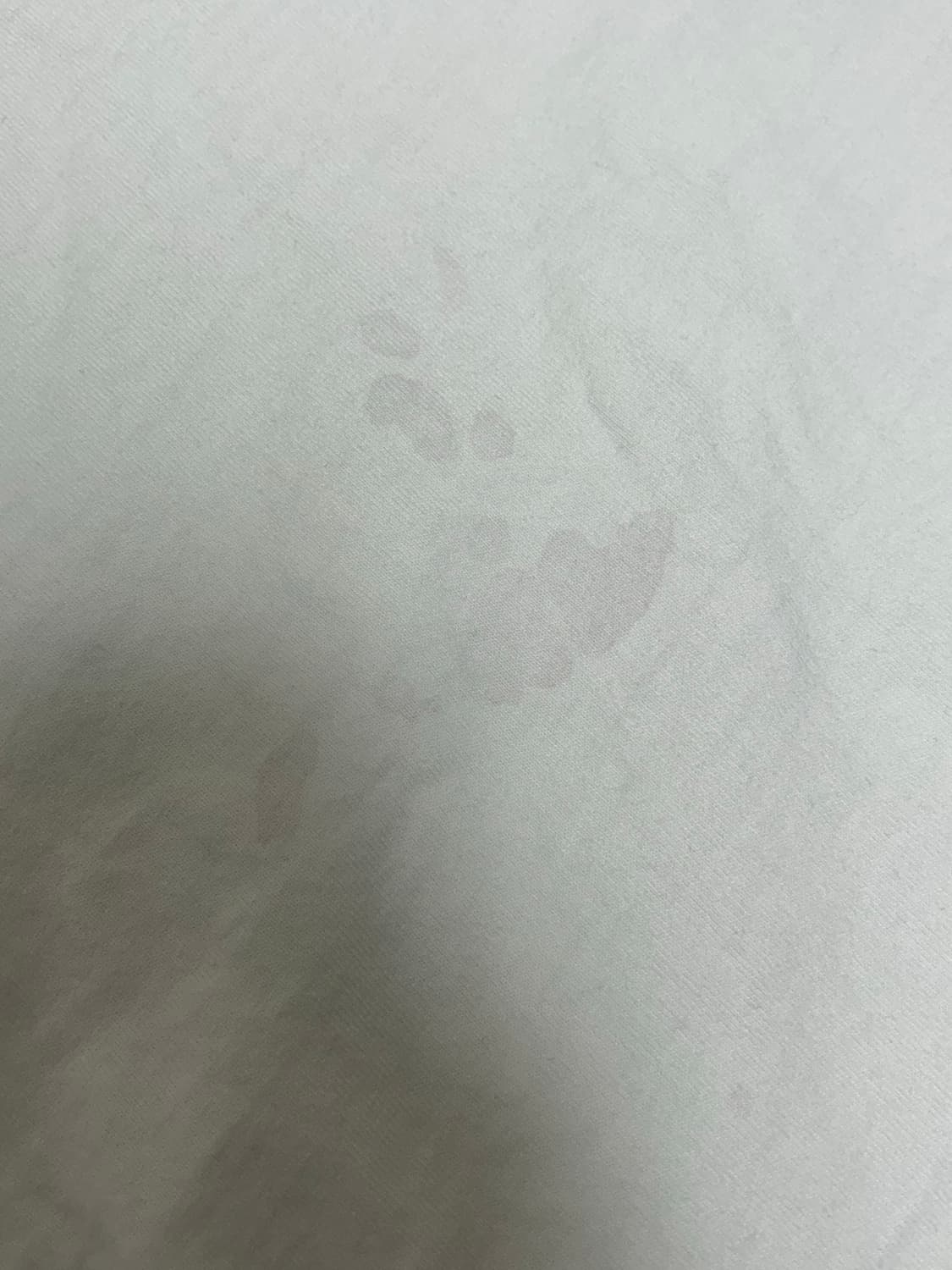 푸마 X P.A.M 그래픽 티셔츠 상품이미지8