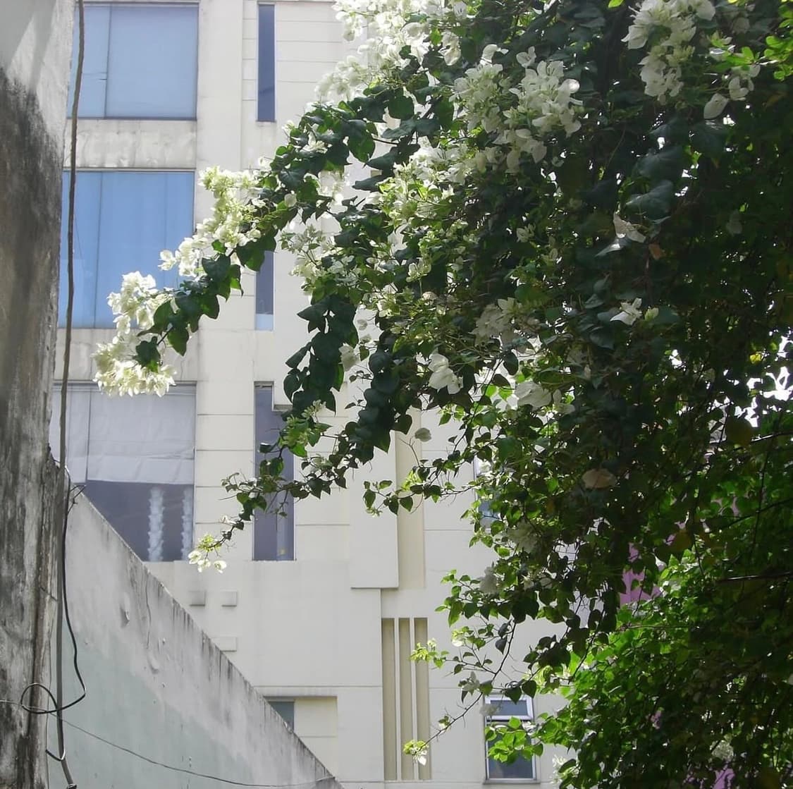 카시오 엑슬림 CASIO EXILIM EX-Z700 디카 디지털카메라 상품이미지9