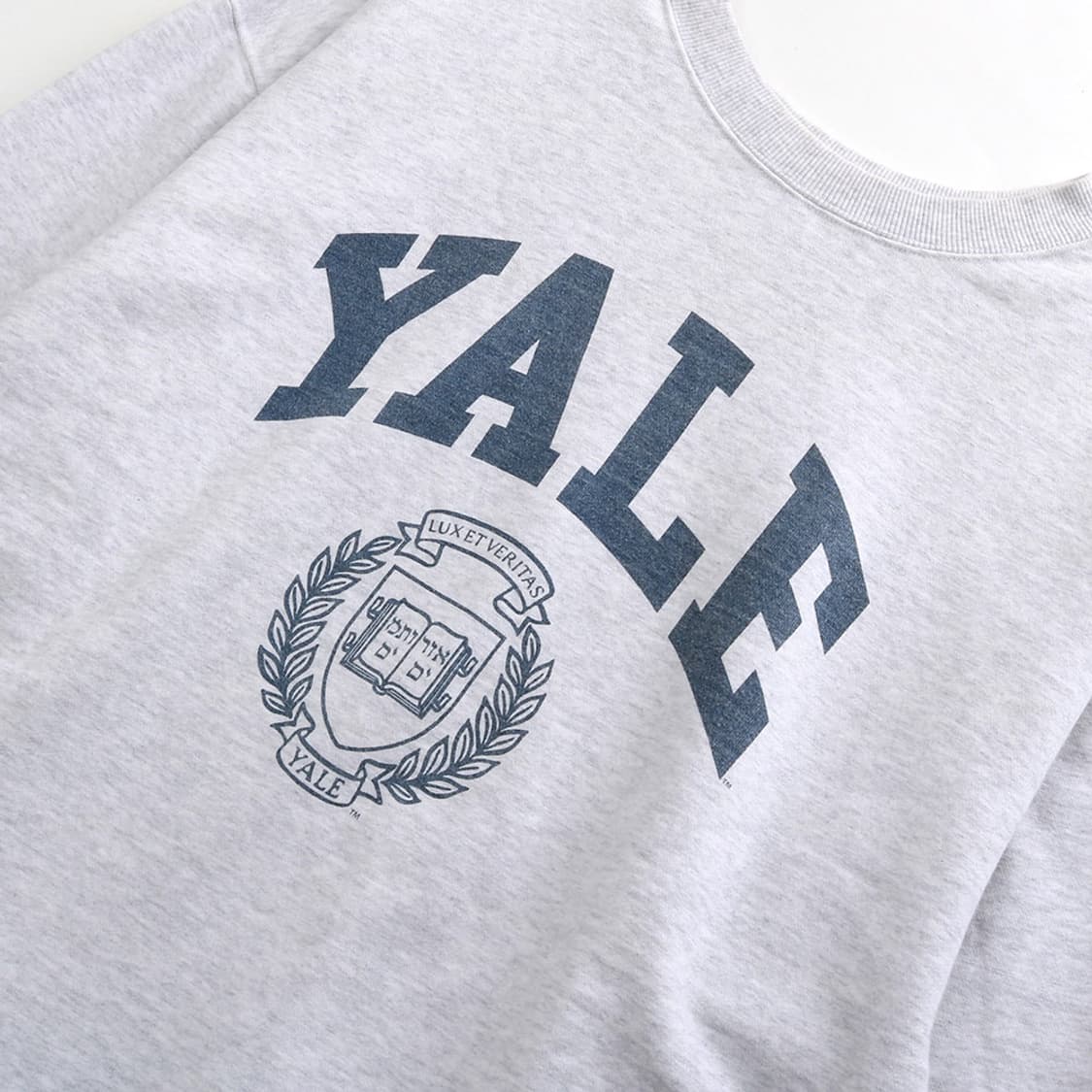 BEAMS x YALE 상품이미지3