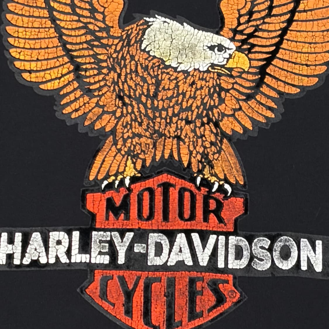 미국 빈티지 할리데이비슨 이글 롱슬리브 긴팔티 상품이미지5