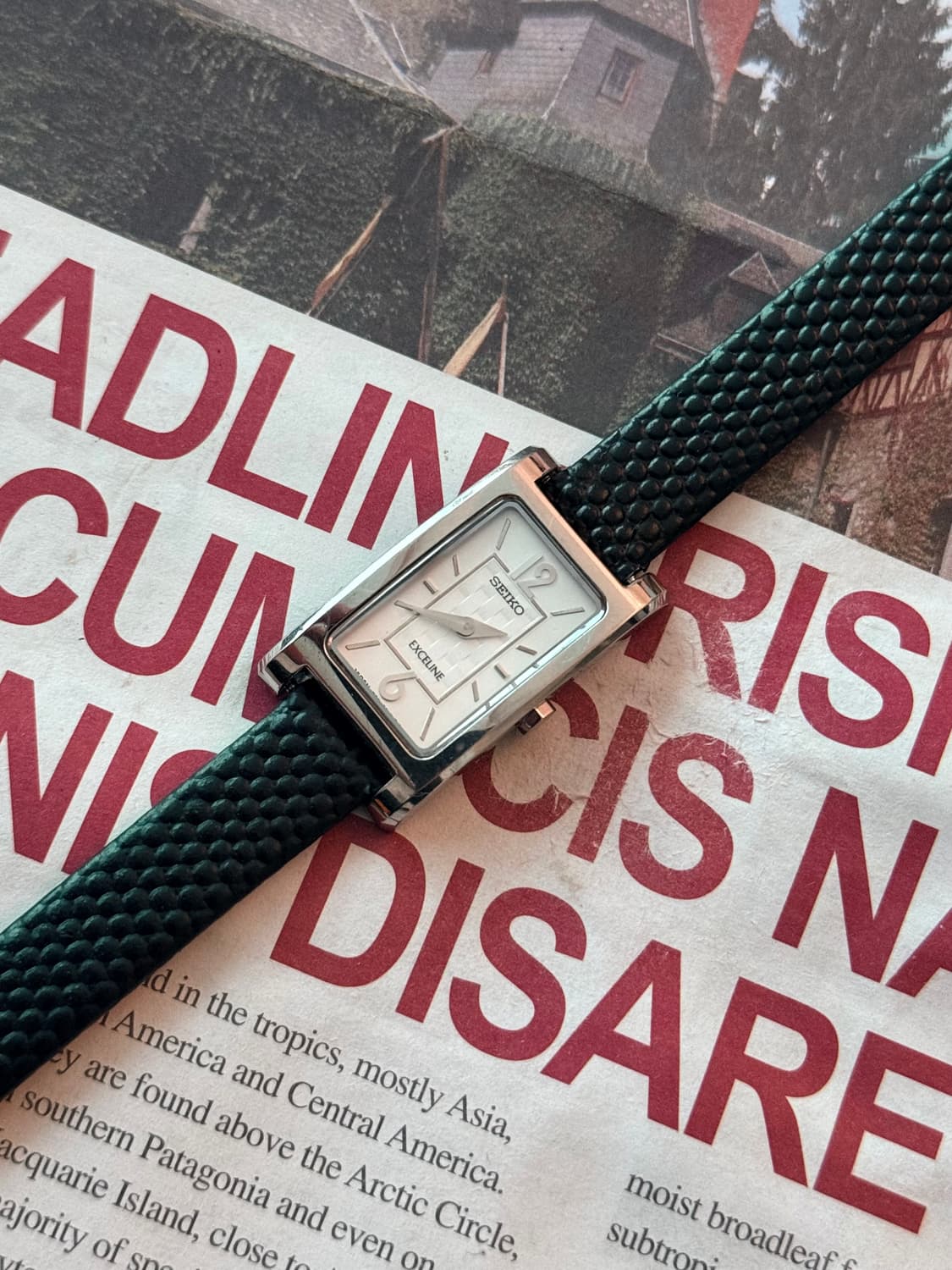 세이코 Seiko Exceline 엑셀린 스퀘어 쿼츠 레이디스 상품이미지1