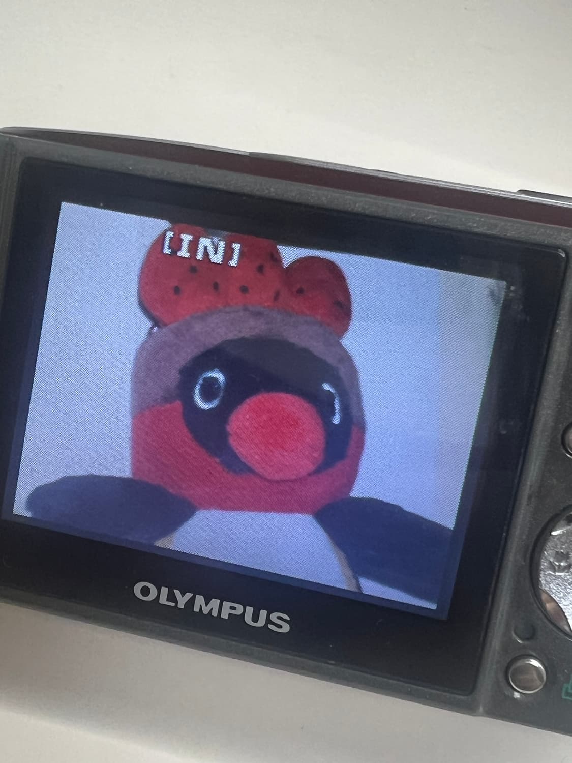 올림푸스 뮤 600 상품이미지2