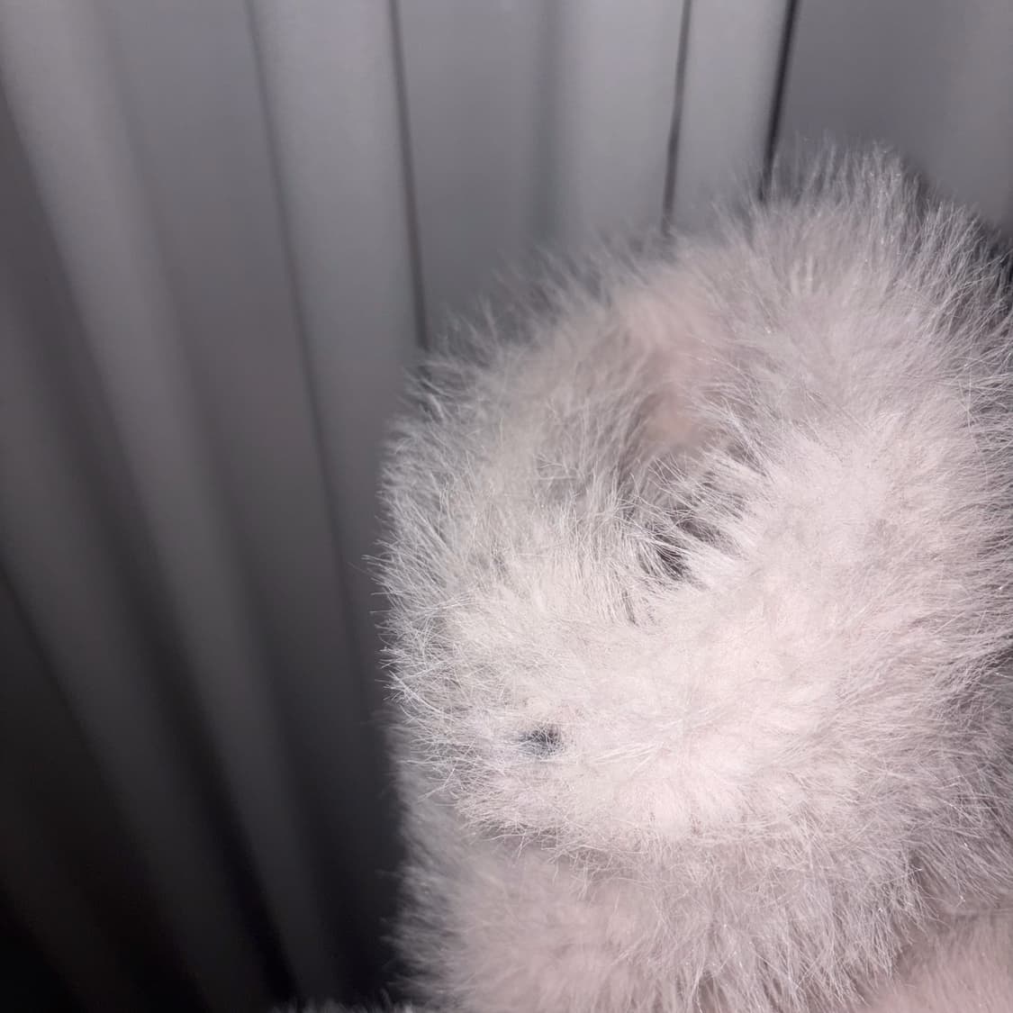 딘트 인 서울 퍼자켓 상품이미지2