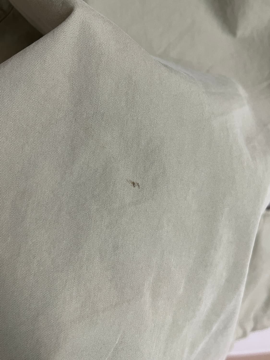 (4) 비즈빔(Visvim) 22SS 레빈슨 피쉬테일 파카 라이트그린 상품이미지6