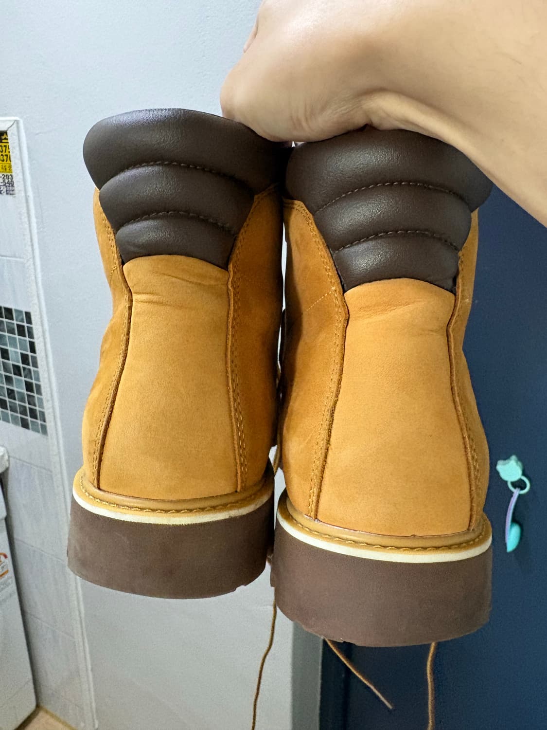 팀버랜드 코랄  상품이미지2