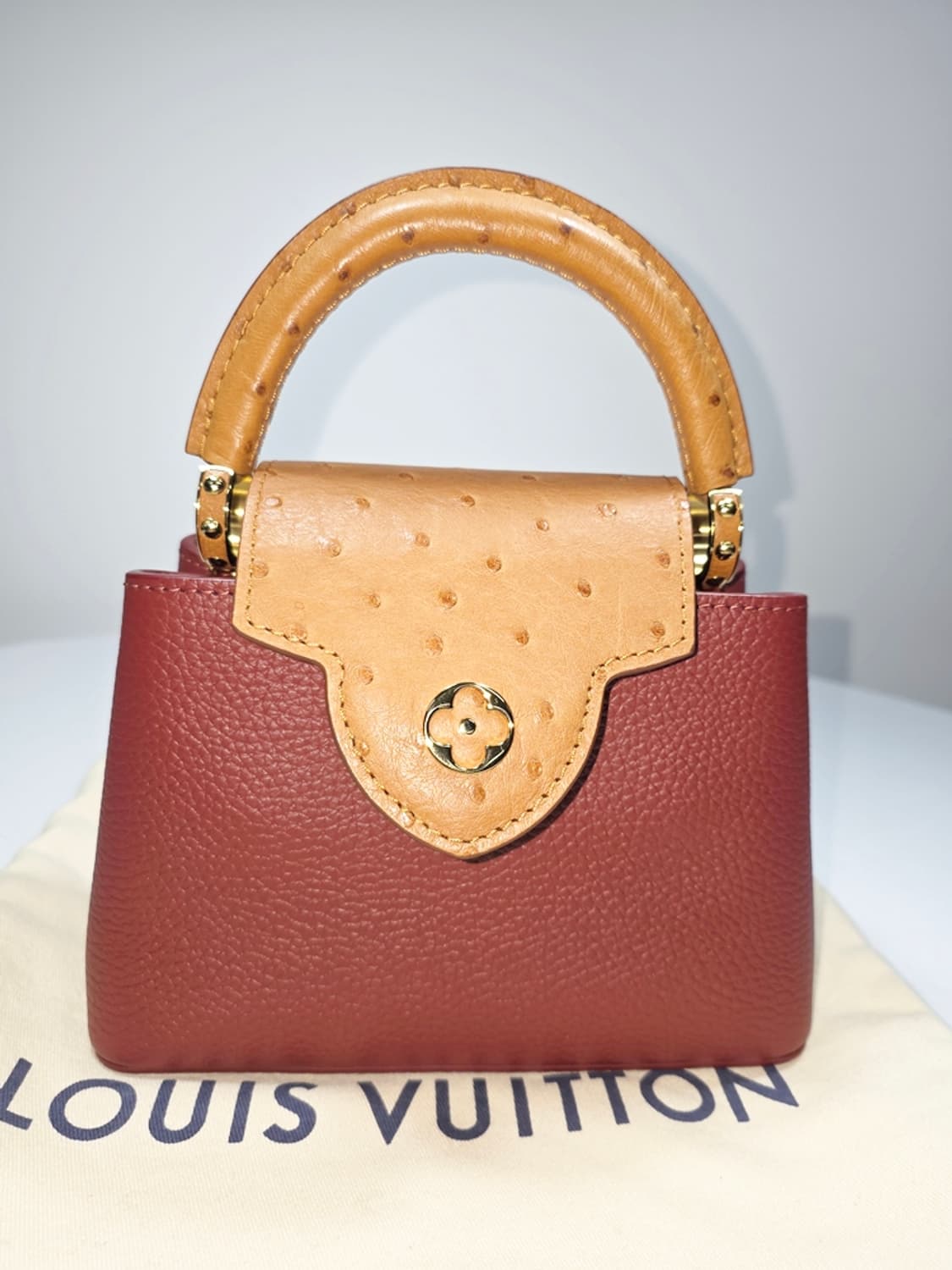 루이비통 카퓌신 미니 오스트리치 N81409 상품이미지2