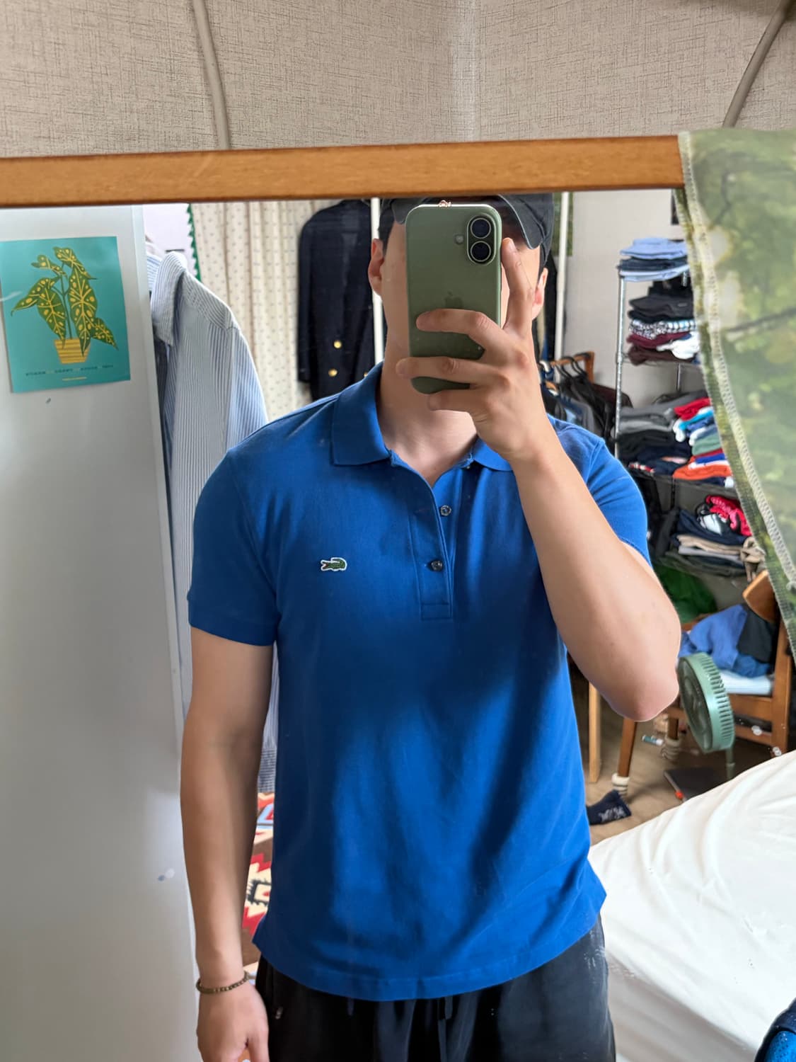 M) 라코스테 카라티 카라 반팔티 PK티  상품이미지9