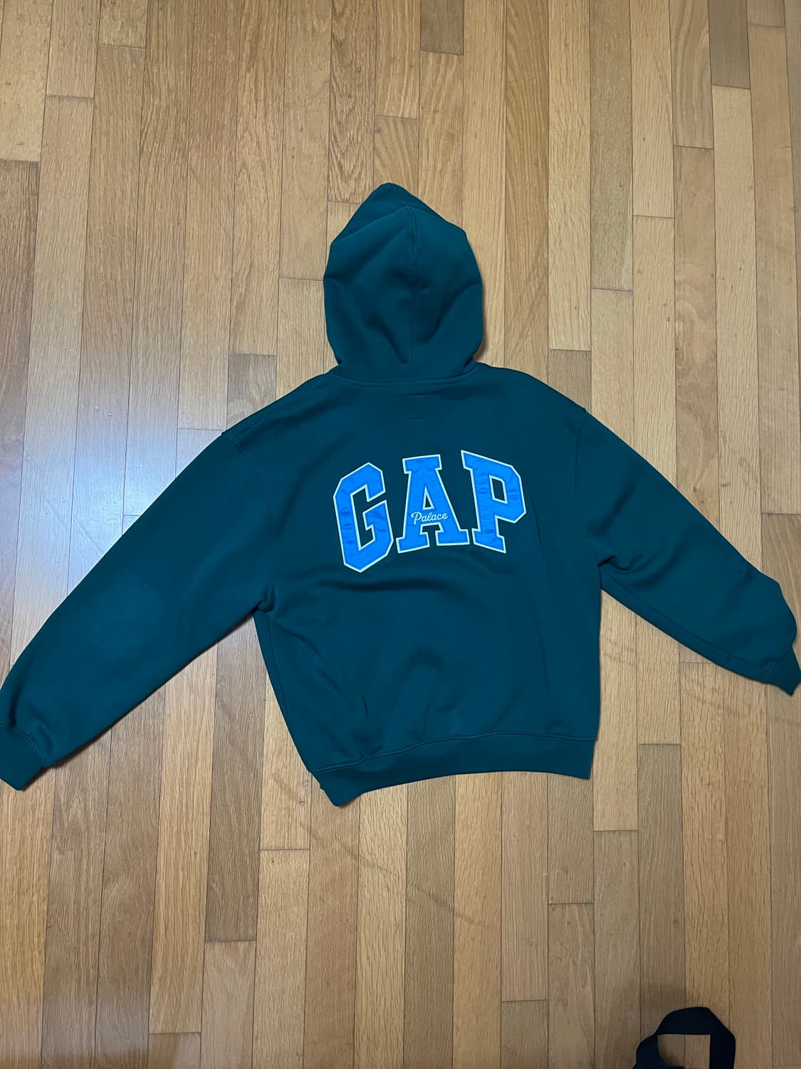 팔라스 x 갭 후드 레인 포레스트 - 24SS 상품이미지3