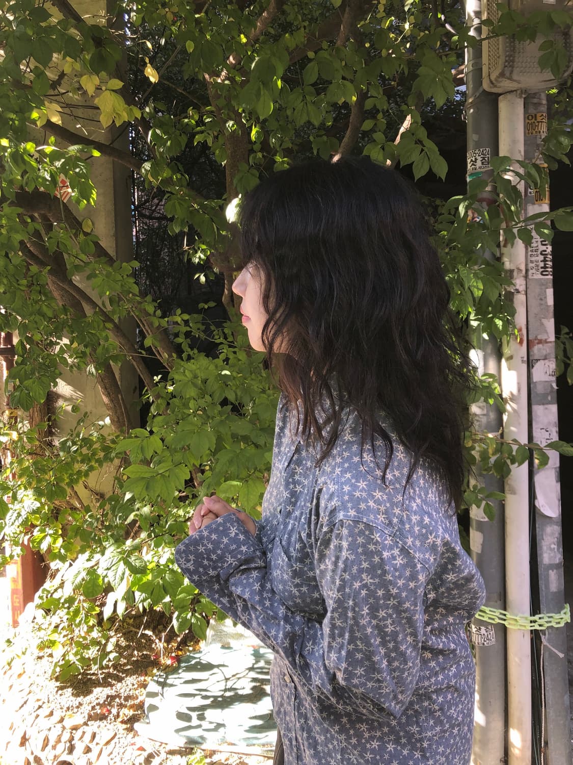 Edelweiss shirt 상품이미지4