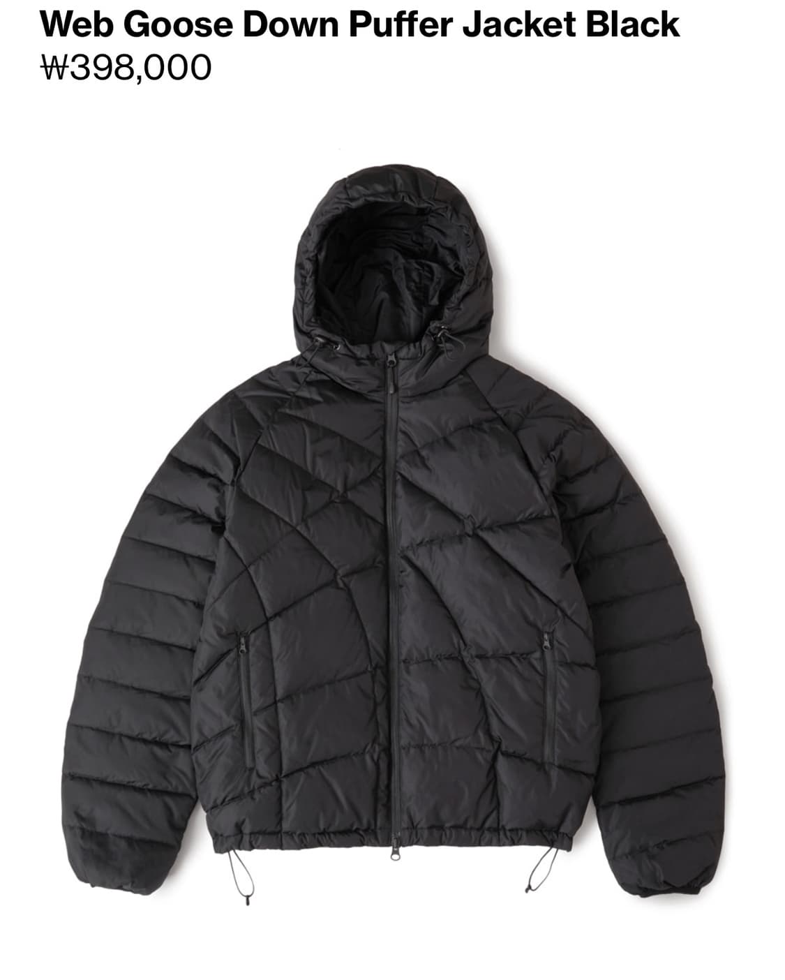 25FW Web Goose Down Puffer Black 상품이미지1