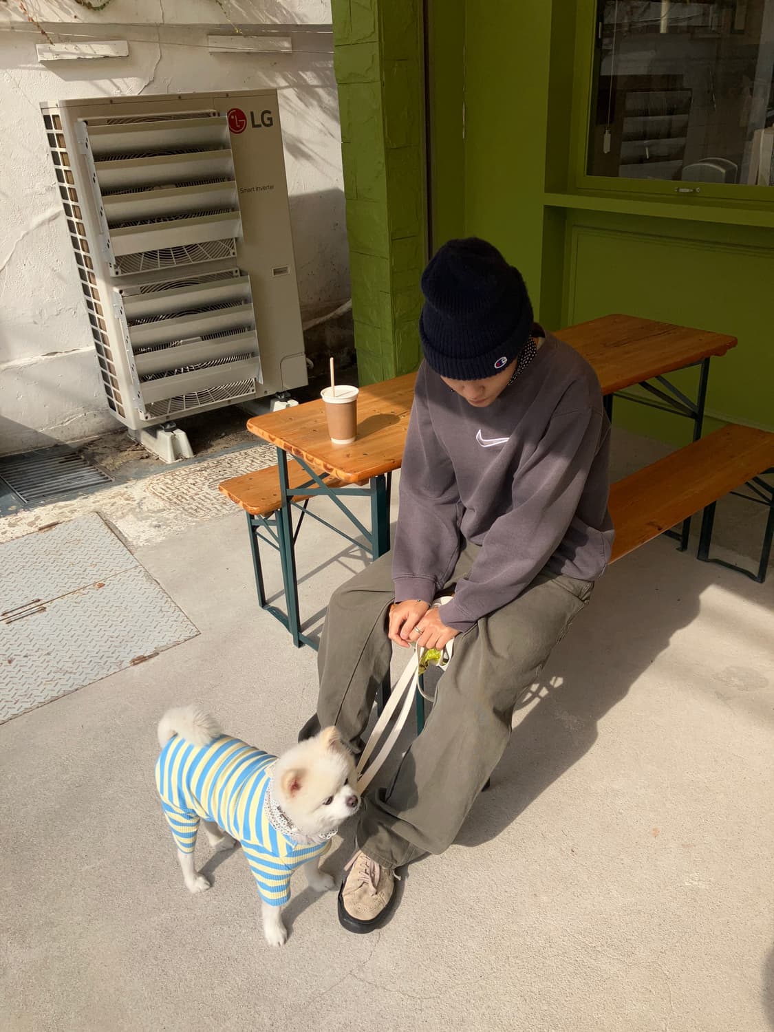 DICKIES carpenter (33X32) 상품이미지10