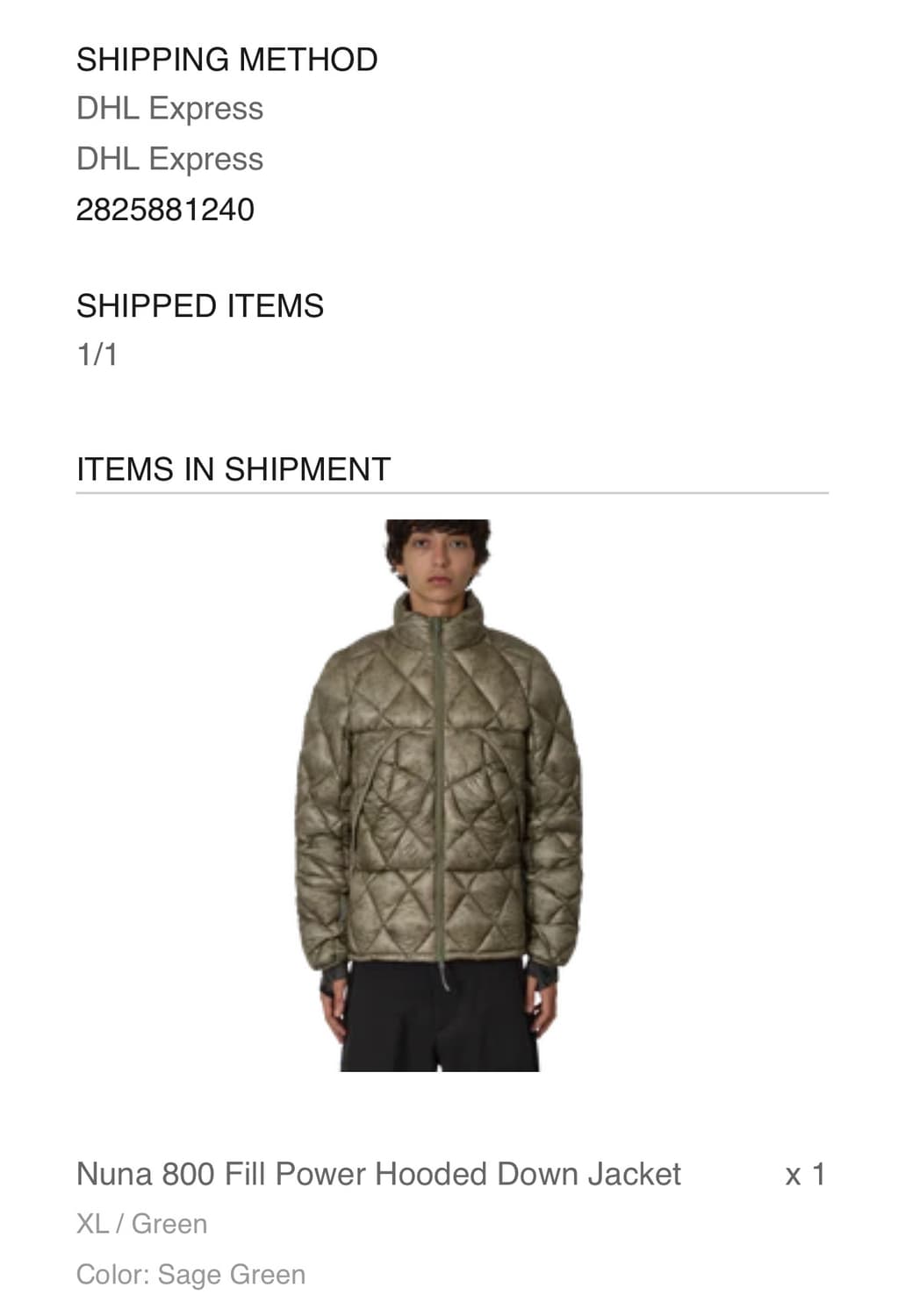 로아 누나 800 세이지 그린(xl) 상품이미지3