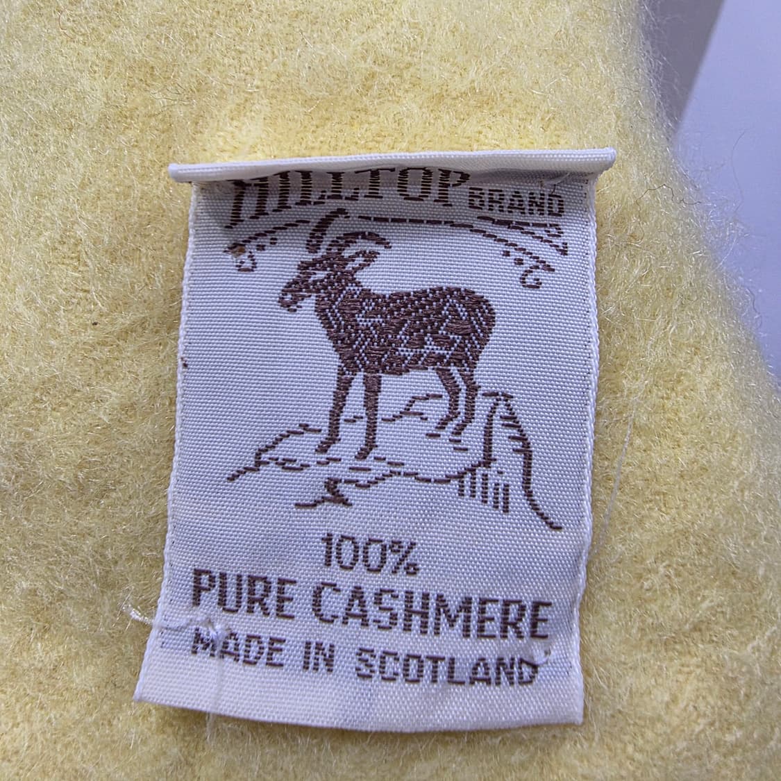 PURE 캐시미어 100 옐로우 머플러 상품이미지7