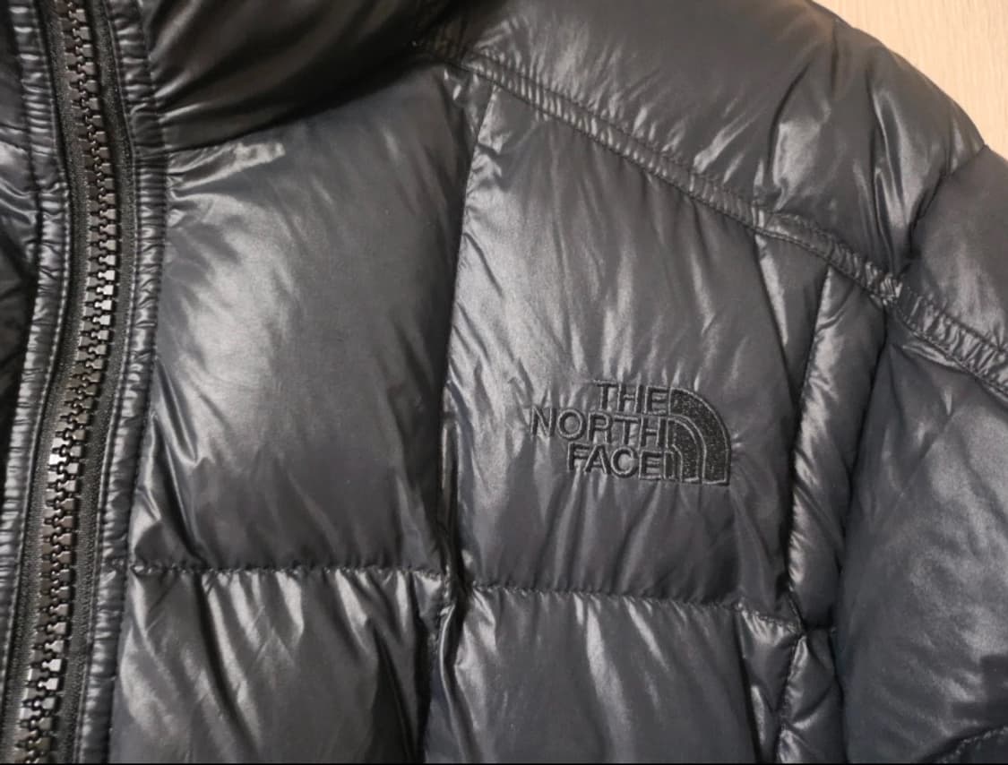 허율 노스페이스 해외판 패딩 구스다운 700 L사이즈 상품이미지4