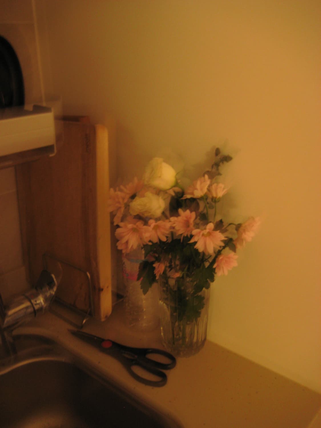 캐논 익서스 70 ixus70 상품이미지9